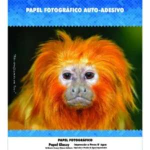 Papel Fotográfico Adesivo A4 Glossy 130g 50 Folhas Masterprint